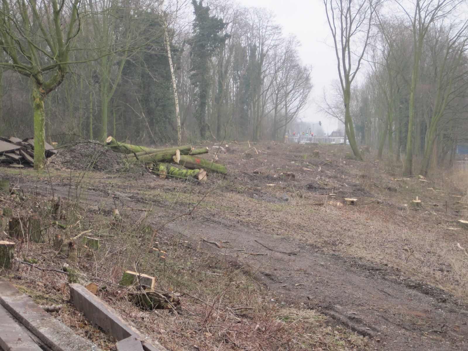 Kaalslag-bonairepark-ii-februari-2012