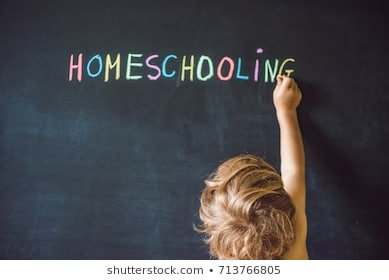 Homeschooling child pointing word on 260nw 713766805
