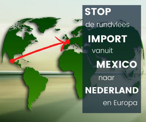 Stop de vlees import van mexico naar nederland europa!