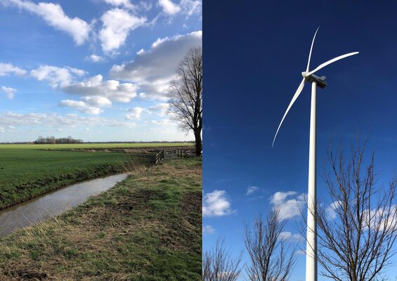 Foto rijnenburg windmolen %28002%29