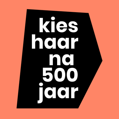 Profiel kieshaar 500