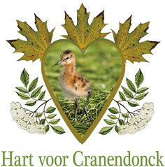 Logohvcpetitie