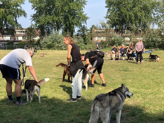 2024 09 01 11.23.00 drukke zondag ochtend