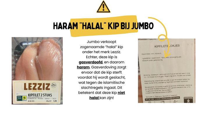 Jumbo verkoopt zogenaamde %e2%80%9chalal%e2%80%9d kip onder het merk lezziz. echter  deze kip is gasverdoofd  en daarom haram. gasverdoving zorgt ervoor dat de kip sterft voordat hij wordt geslacht  wat tegen de 