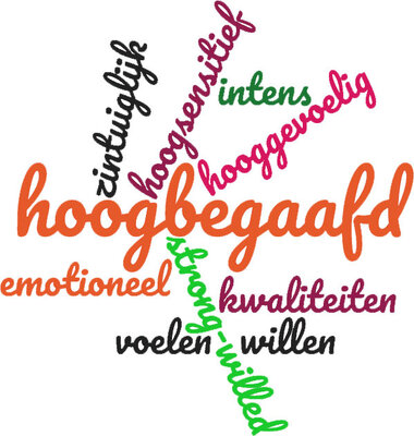 Hoogbegaafd hooggevoelig