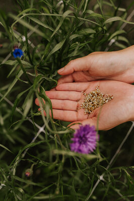 Tumbleweed   fireflies photography   plukatelier 11 websize
