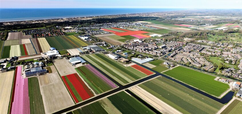 Drone bollenveld