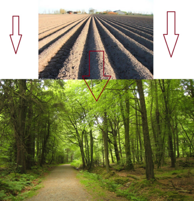 Meer bos minder akker