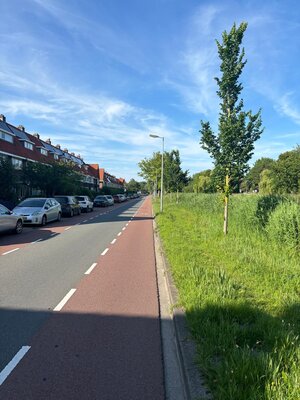 Afbeelding van whatsapp op 2025 06 18 om 18.40.15 c8d58986