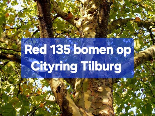 Petitiebeeld