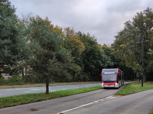 Bus petitie