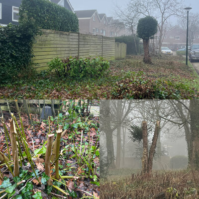 Stop de ont-groening van 'het Hoefijzer' en de verspilling van gemeenschapsgeld