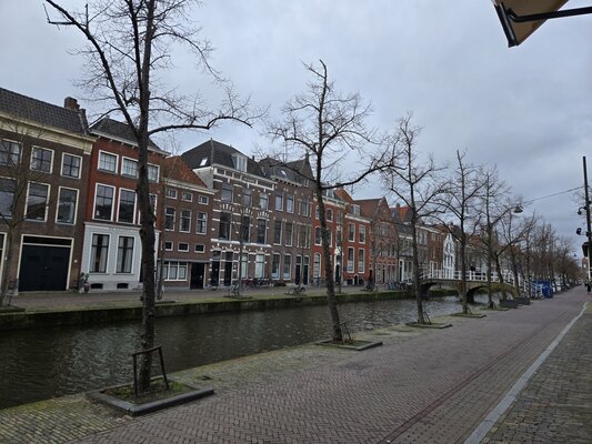 Koornmarkt delft autoluw