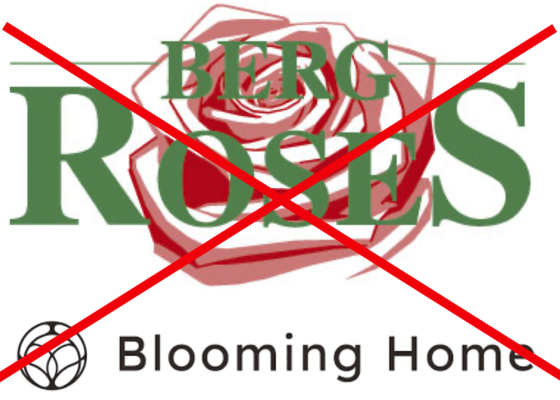 Schermafbeelding 2026 01 07 om 13.01.08