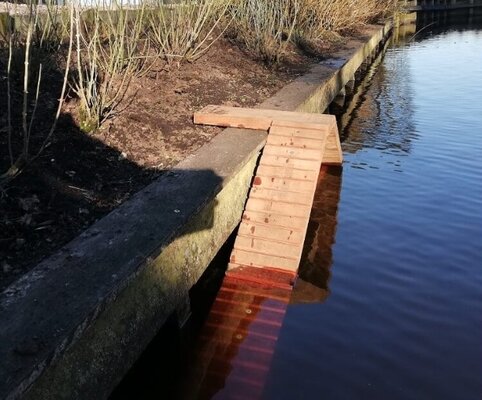 Plaats trappen voor dieren en mensen vanuit de kanalen
