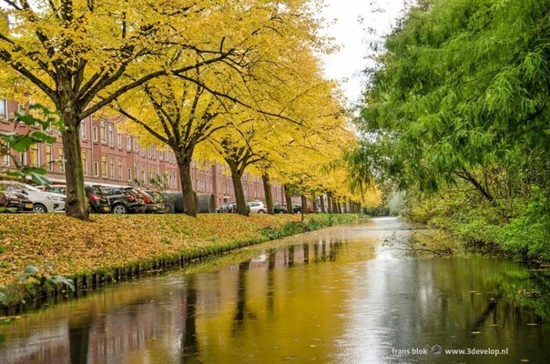 Rotterdam herfst essenburgsingel 1024x678 2799286358