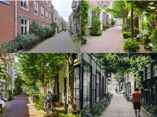 Ontwerp zonder titel