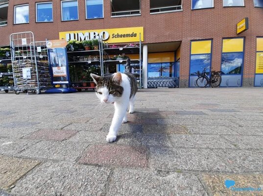 274b98b6 e485 4d95 8932 dab35057c985