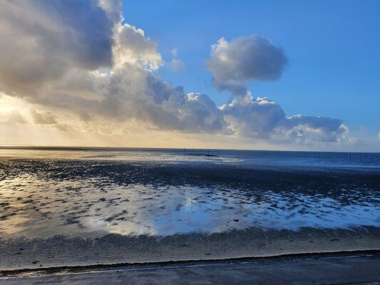 68e2cc9c866a765f40f9ad68