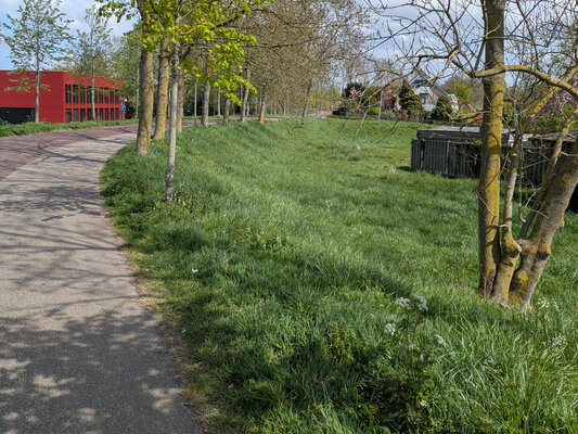 Groene sheer hendrikskinderendijk