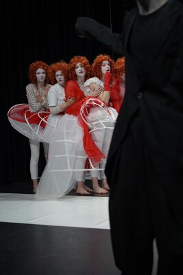 Petitie   medea