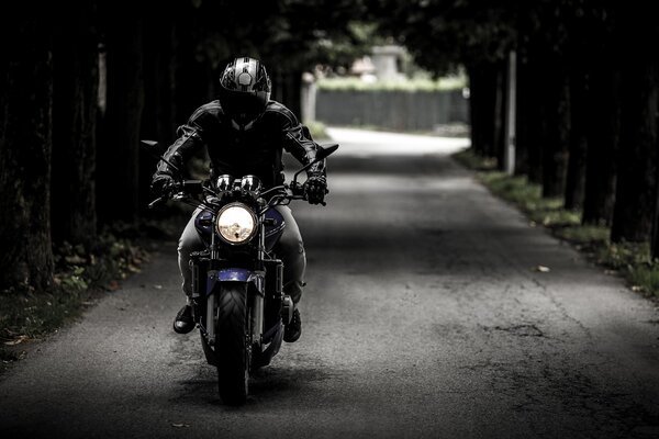 Splitshire biker 407123 1920