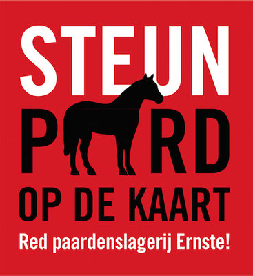 Paard