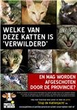 Definitiev poster anti kattenjacht