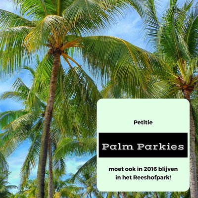 Palm parkies 2016
