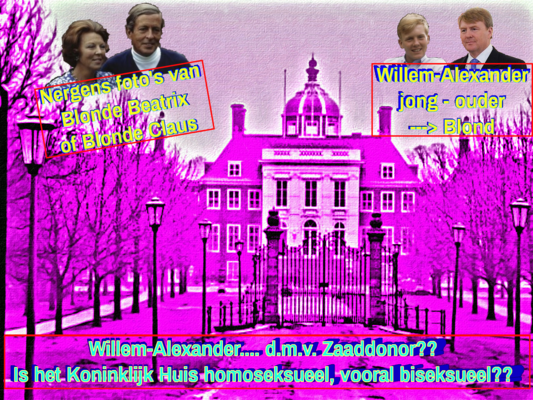 Huis ten bosch pink.pp.1920 1440.foto%c2%b4s.4