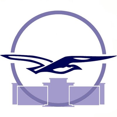 Logo dalton nieuw kleur